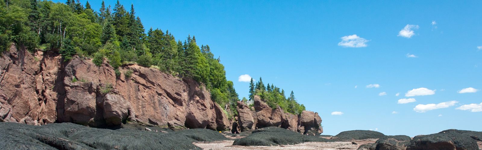Top 10 hikes Albert County