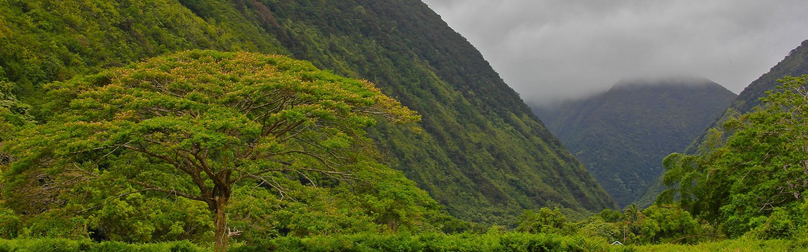 Hiking in Big Island (Hawaii)
