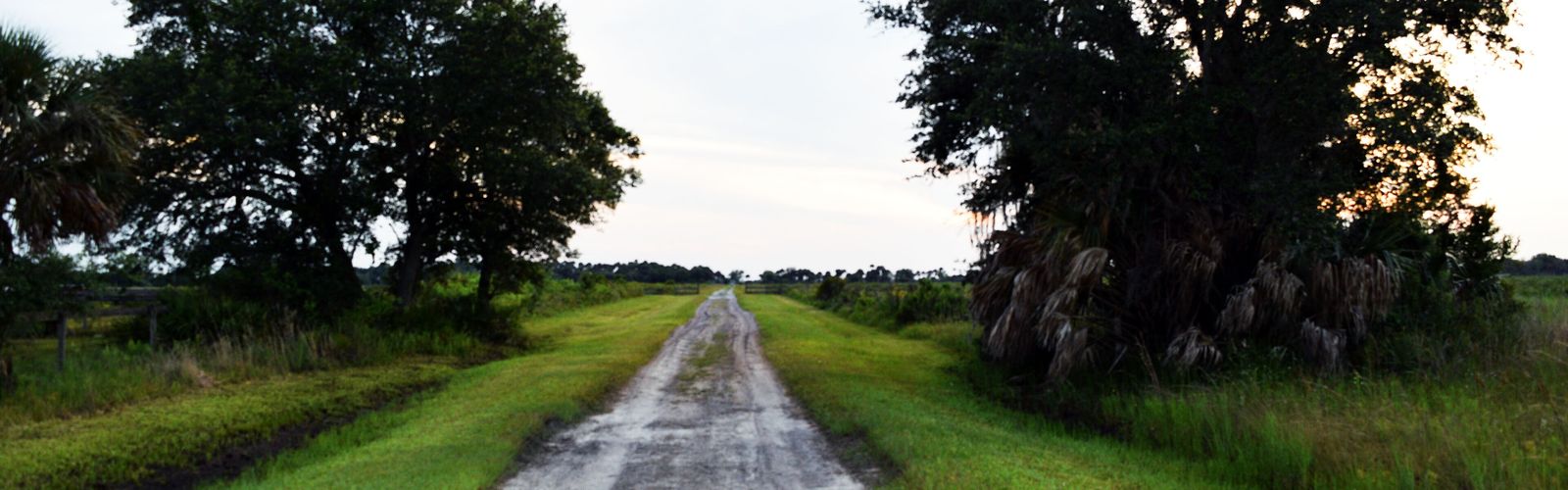 Hiking in Central Florida
