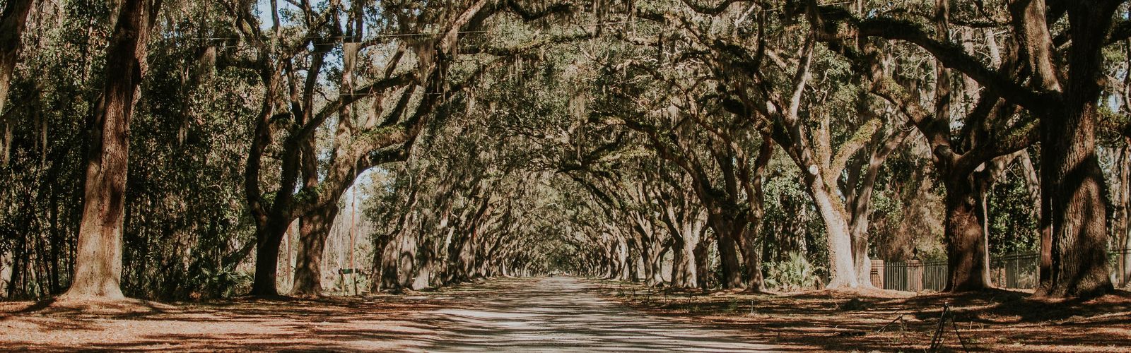 Hiking in Coastal Georgia