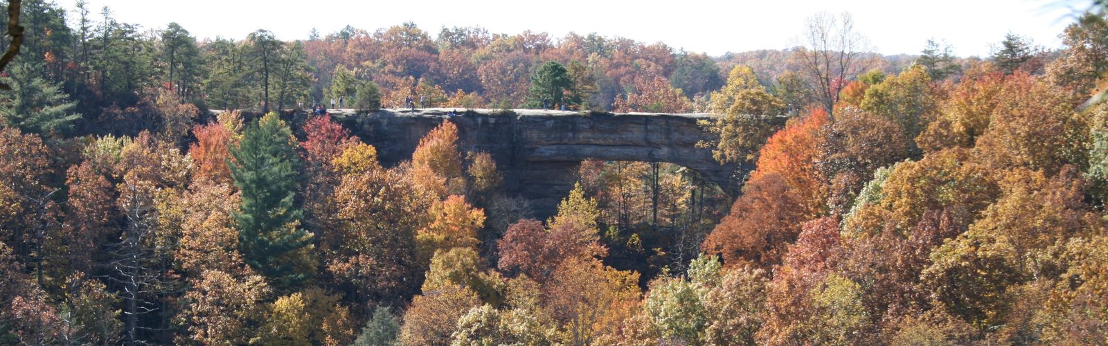 Hiking in Daniel Boone Country
