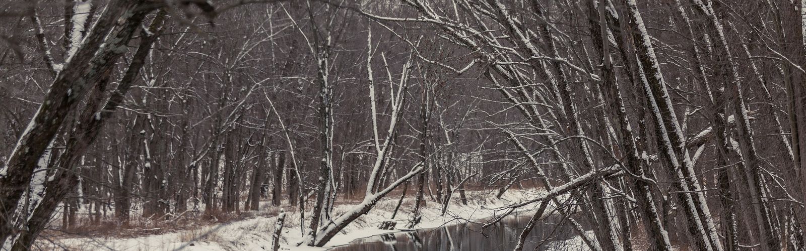 Hiking in Driftless Area