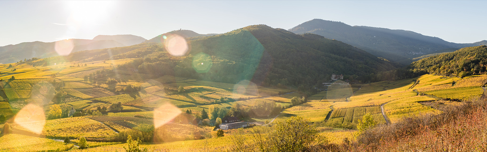 Hiking in Grand Est - natural landscape
