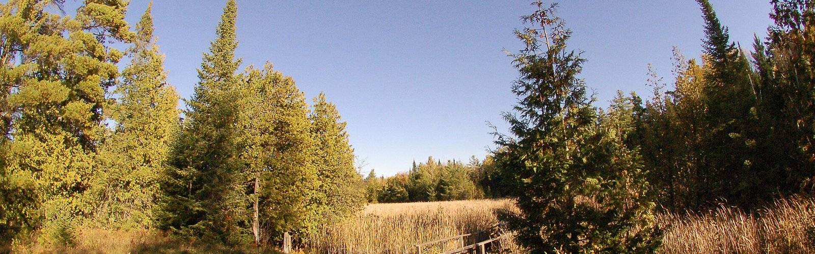 Randonnée dans la région de Kawarthas Northumberland