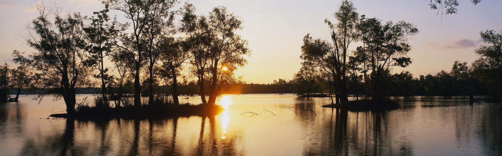 Hiking in Louisiana - natural landscape  water outdoor tree sky river boat lake nature sunset sunrise landscape reflection pond surrounded several