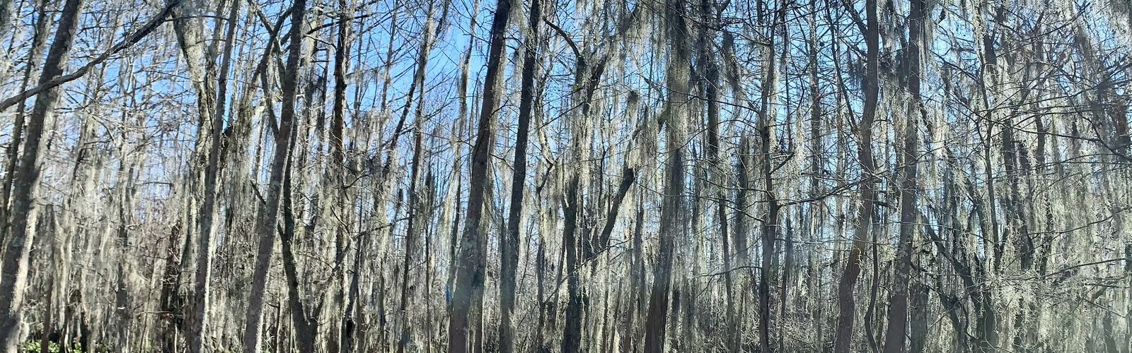 Hiking in Monroe-Ruston Area