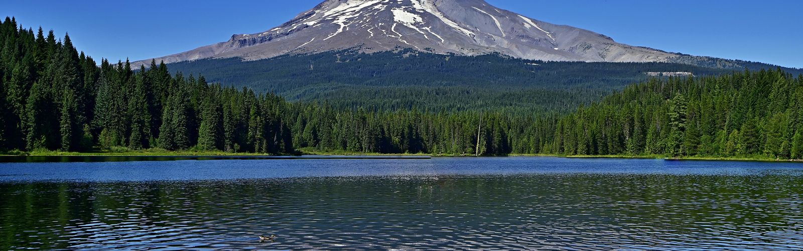 Hiking in Mt. Hood & Columbia River Gorge