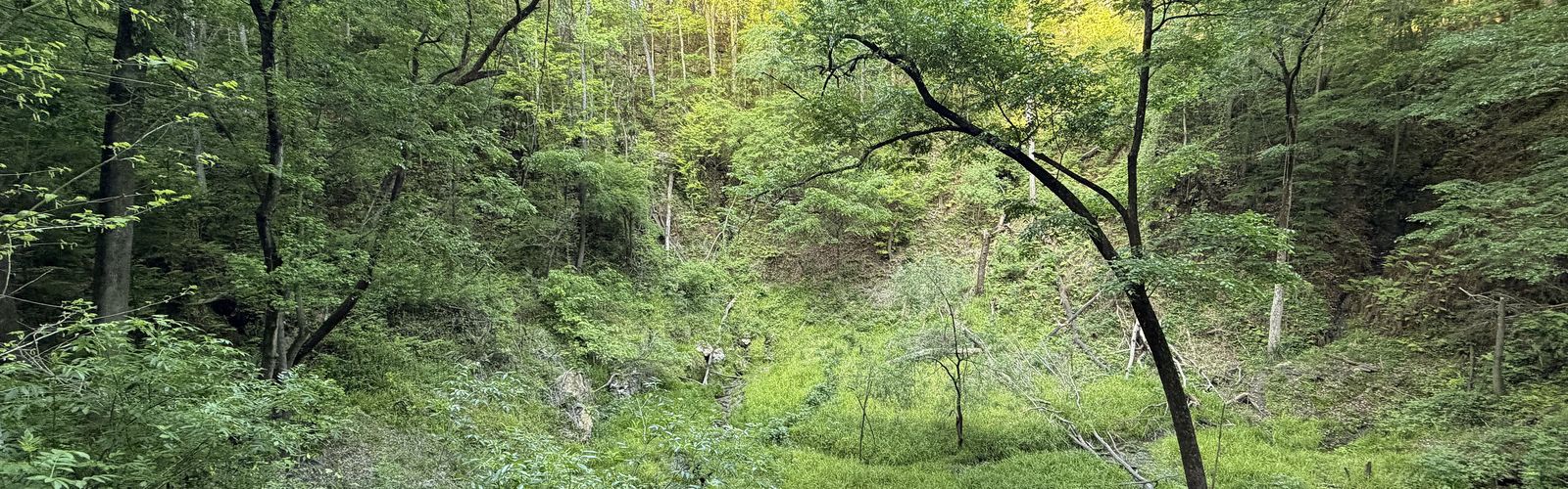 Hiking in North Central Florida