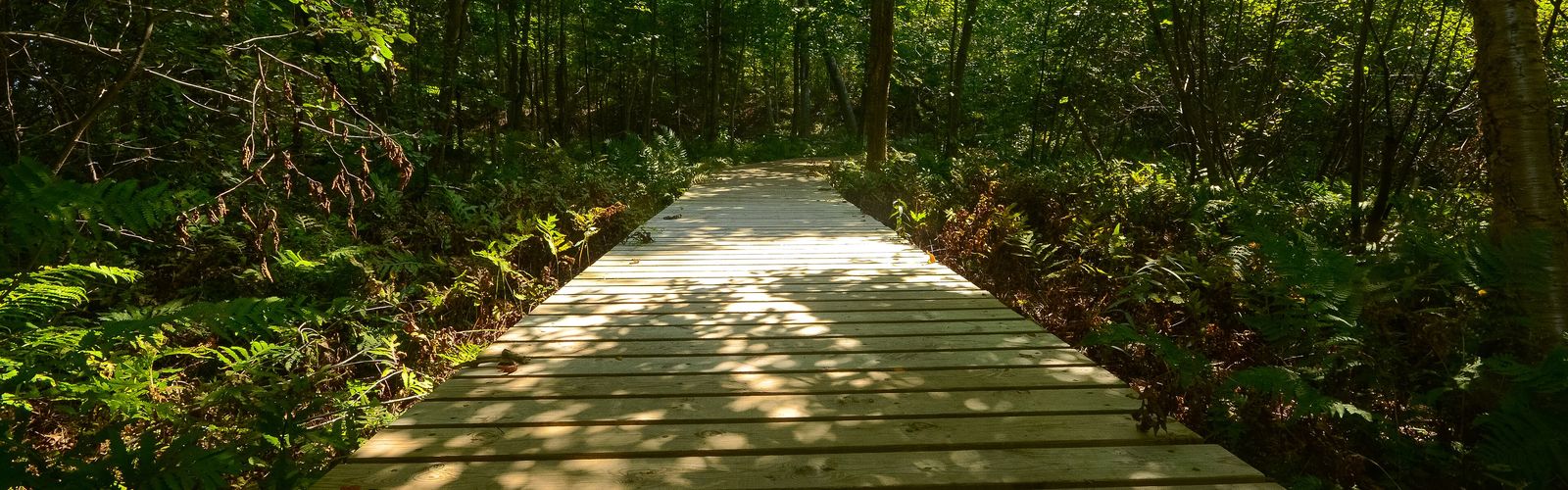 Hiking in North Central Wisconsin