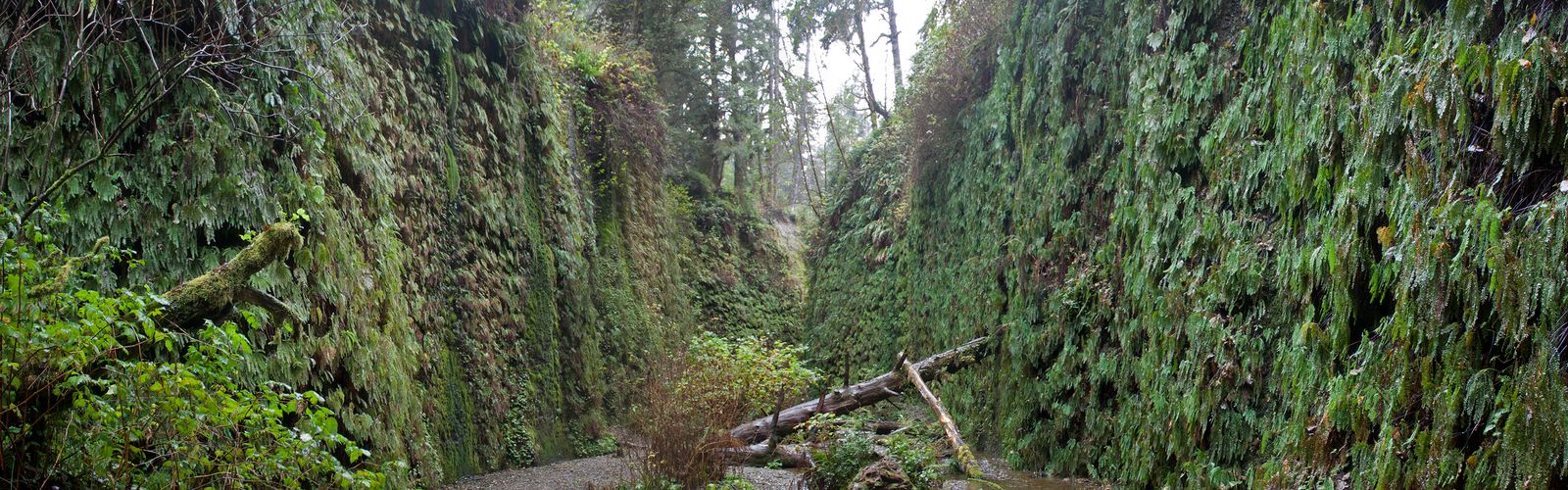 Hiking in North Coast
