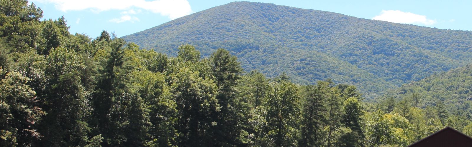 Hiking in North Georgia