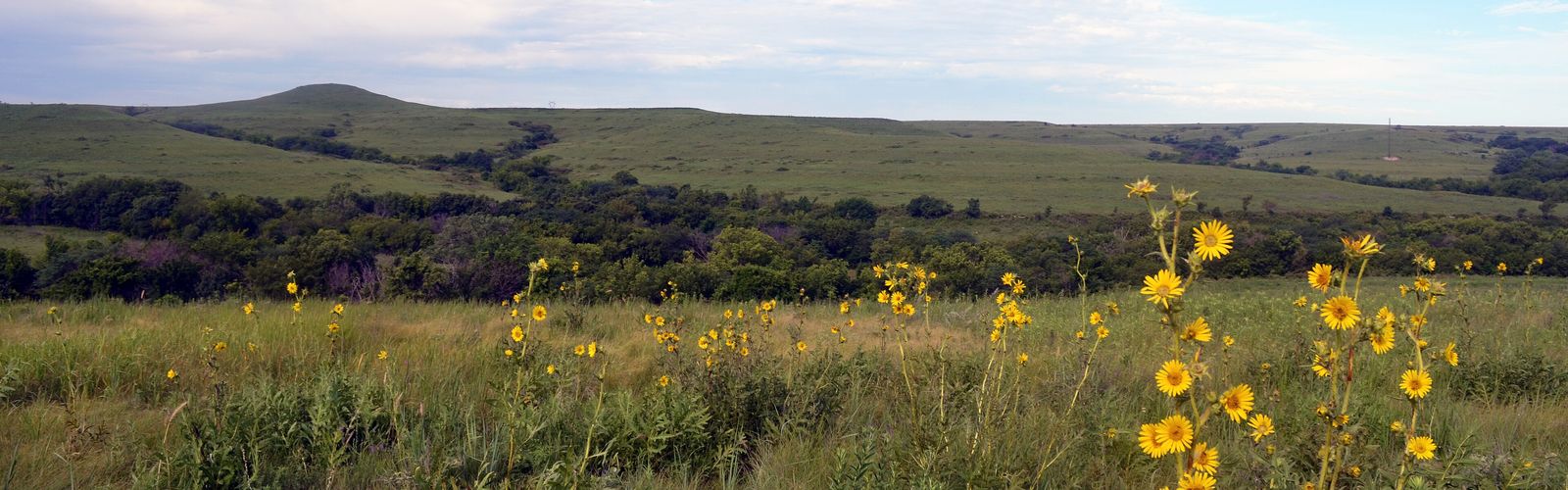 Hiking in Northeast Kansas