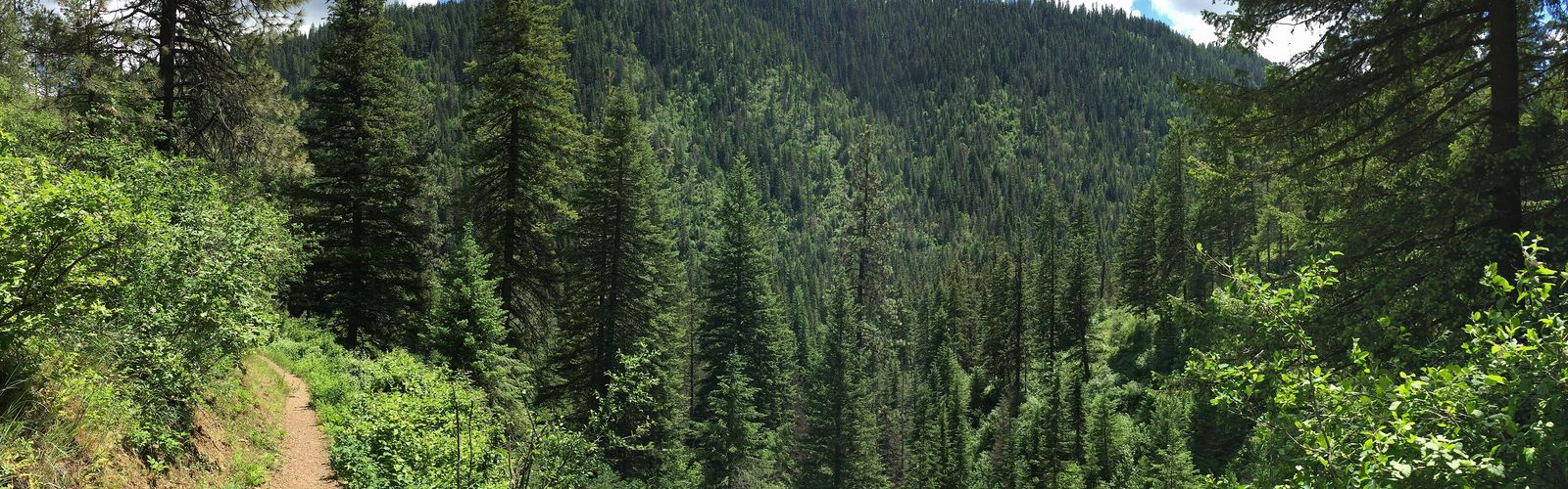 Hiking in Northern Idaho
