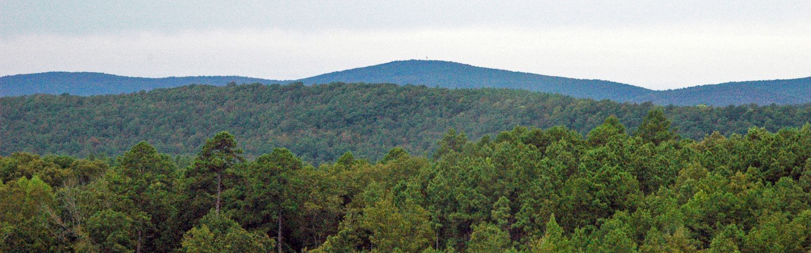 Hiking in the Ouachitas