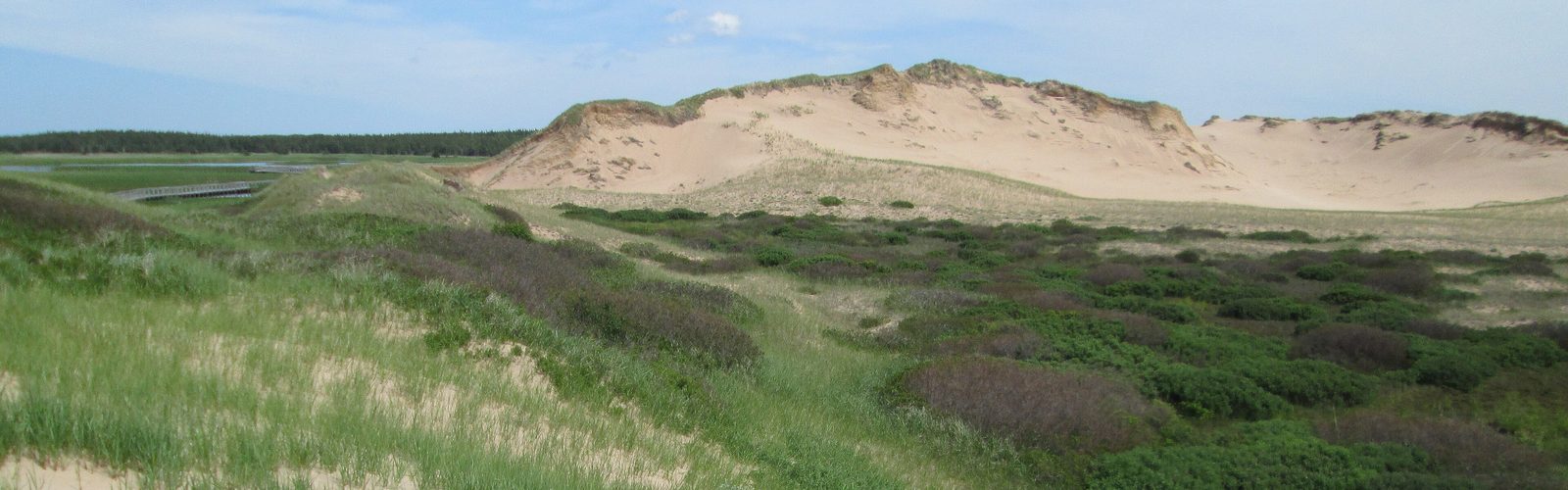 Hiking in Points East Coastal Drive