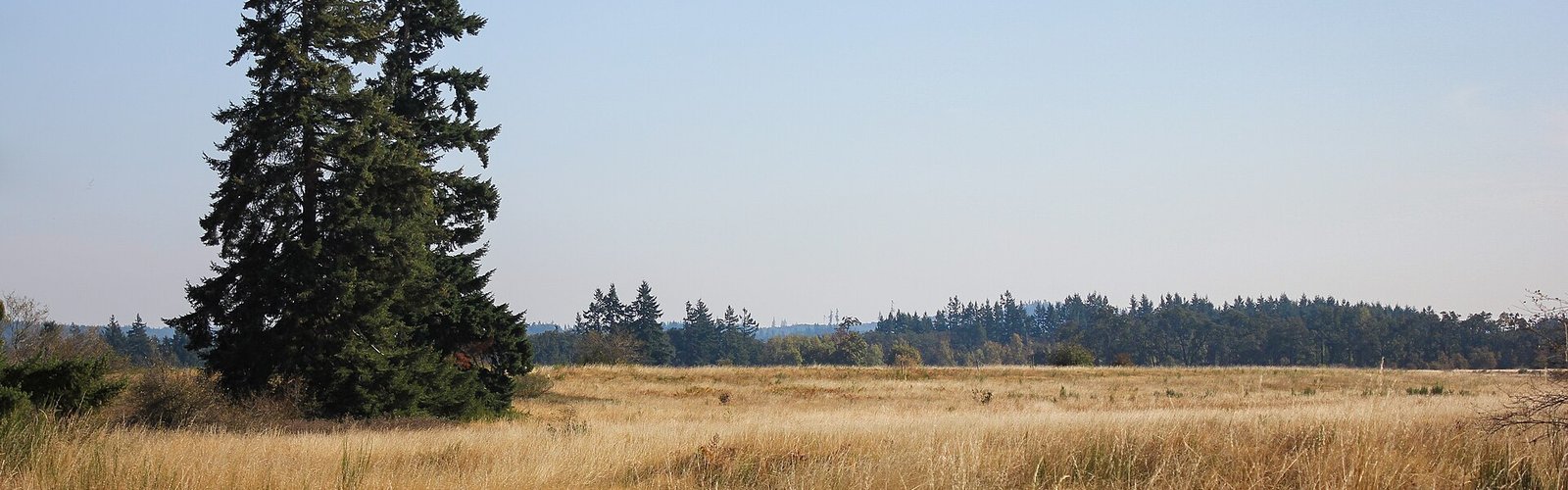 Hiking in Puget Sound Lowlands
