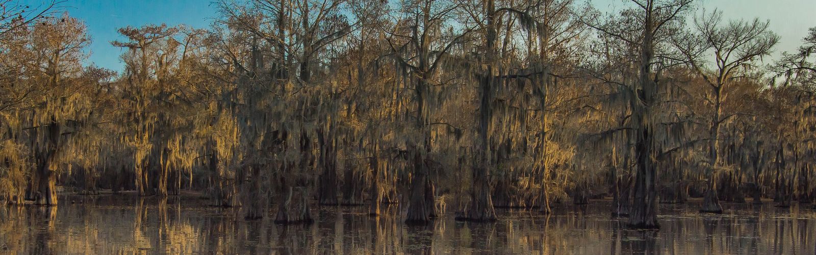 Hiking in Shreveport-Bossier City Area