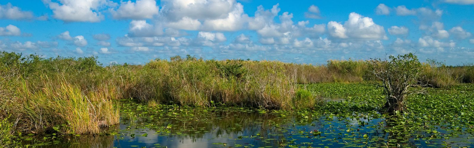 Hiking in Southeast Florida