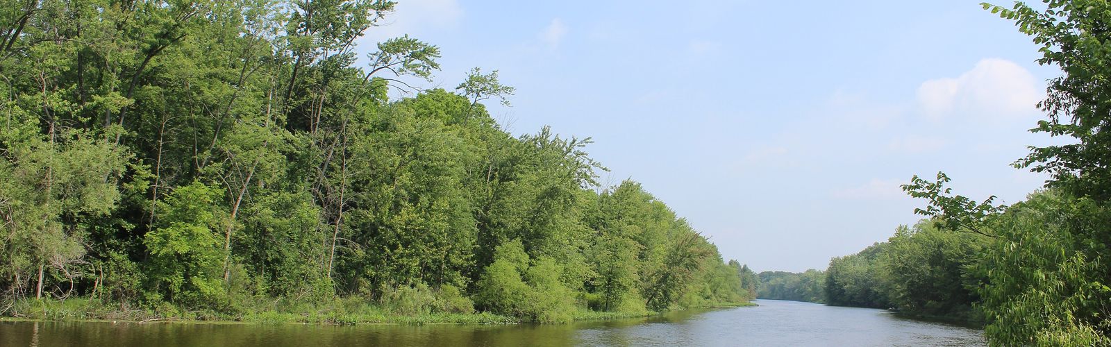 Randonnée dans l'État de Southeast Lower Peninsula