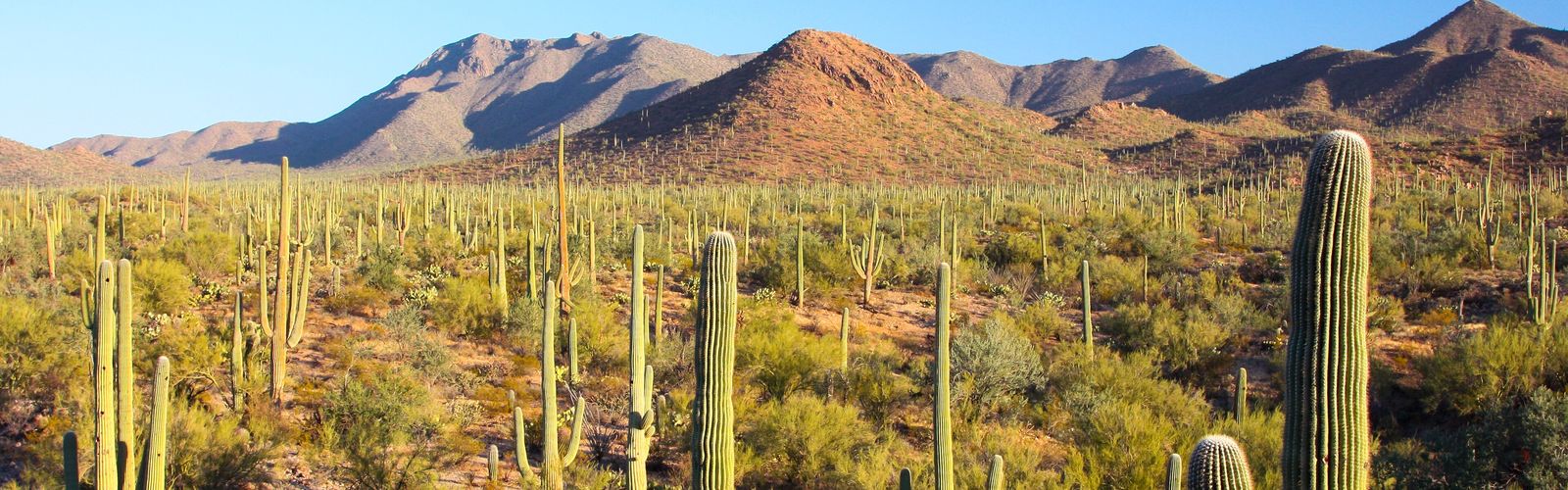 Hiking in Southern Arizona