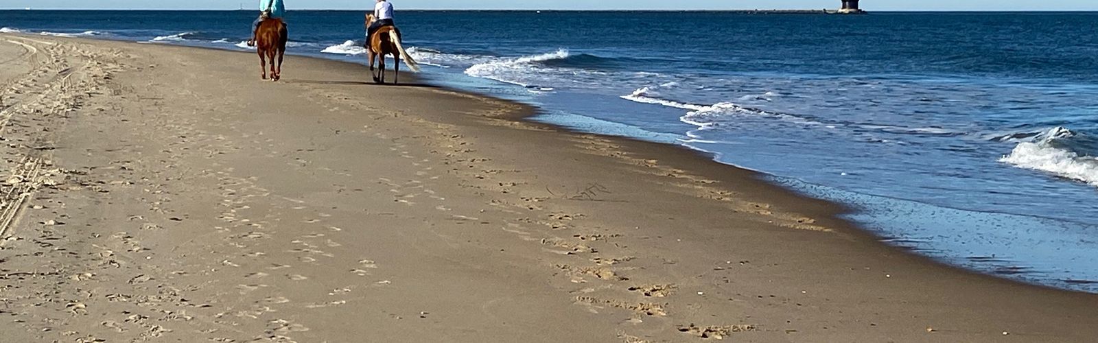 Hiking in Southern Delaware