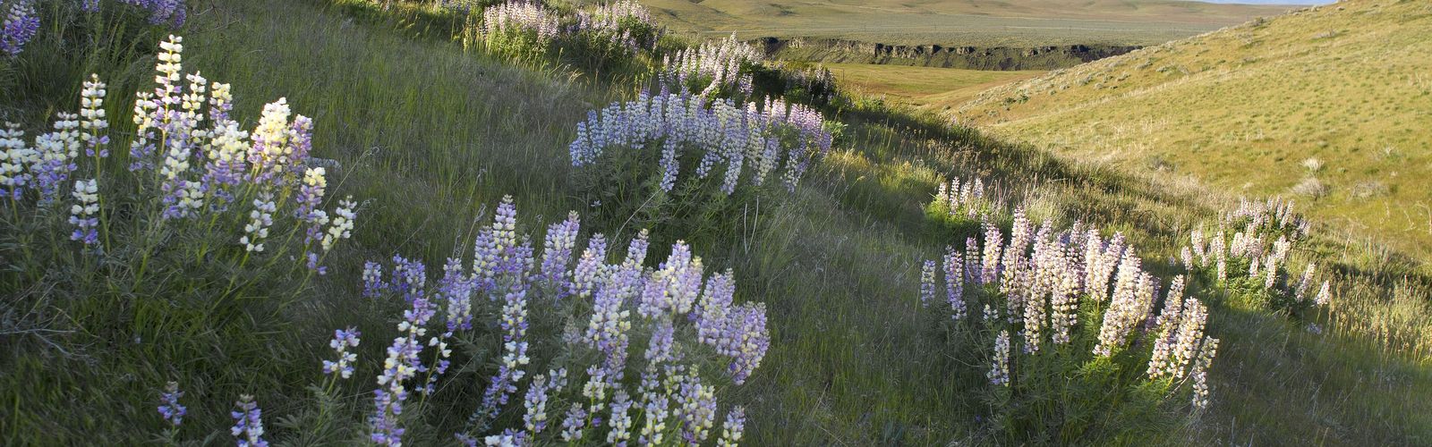 Hiking in Southwest Idaho