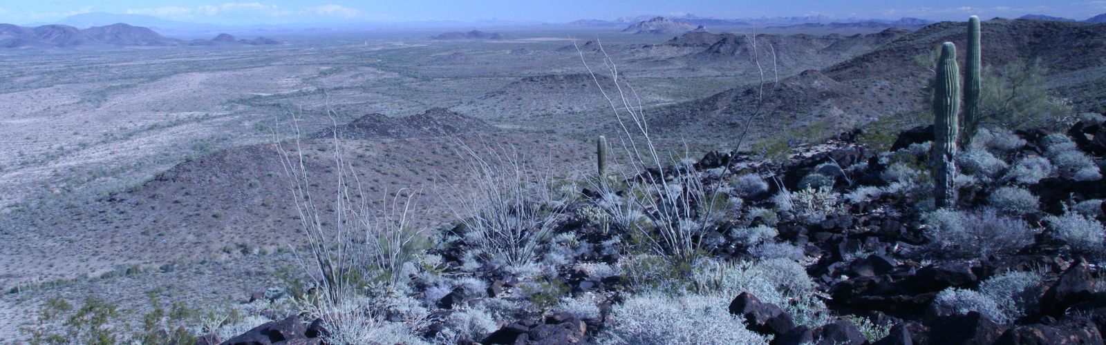 Hiking in Western Arizona