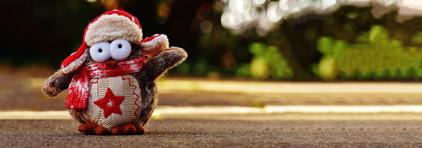 bird Teddy bear Toy