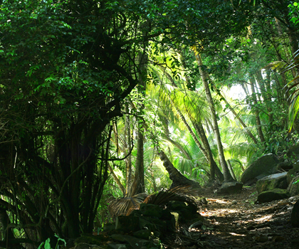 Guyane