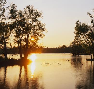 Louisiana  water outdoor tree sky river boat lake nature sunset sunrise landscape reflection pond surrounded several