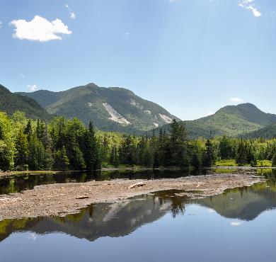 New York  mountain outdoor sky tree nature water landscape plant lake wilderness pasture cattle surrounded lush hillside highland