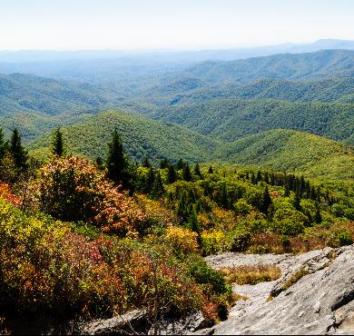 North Carolina  mountain outdoor nature tree landscape sky plant hill hillside green lush grassy surrounded highland field land