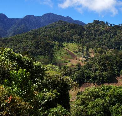 Panama  outdoor tree mountain sky nature landscape cloud green hill station hill lush hillside forest wooded surrounded
