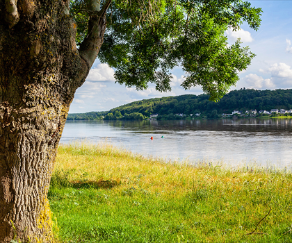 Pays de la Loire
