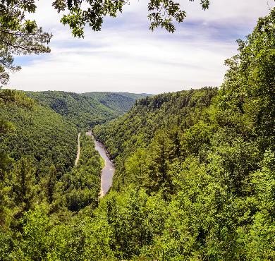 Pennsylvania  tree outdoor sky landscape nature mountain cloud plant conifer vegetation jungle biome forest wooded hillside surrounded lush