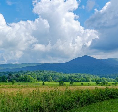 Tennessee