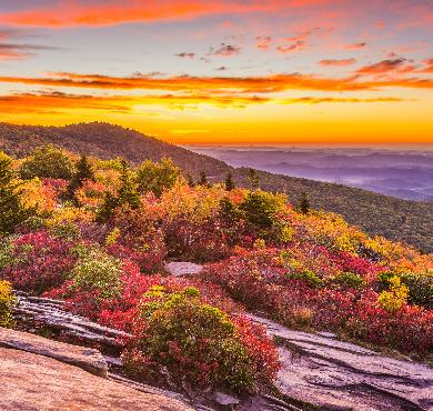 Virginia  outdoor landscape cloud sky tree mountain autumn plant flower sunset nature orange fall colorful distance