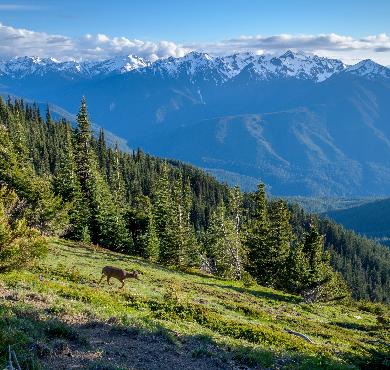Washington  mountain outdoor snow sky nature landscape covered background cloud distance highland land