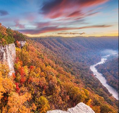 West Virginia  tree outdoor nature mountain landscape autumn fall canyon valley cloud sky plant forest lush hillside