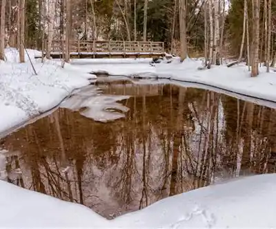 Sentier de randonnée Silver Creek Conservation Area - paysage naturel