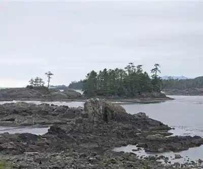 Wild Pacific Trail hiking trail - natural landscape