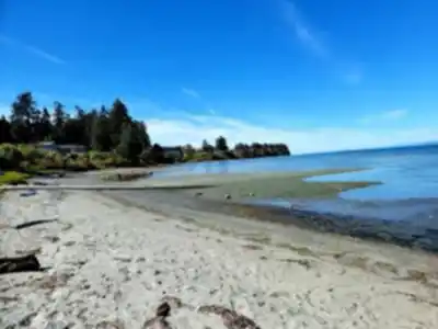 Rathtrevor Beach Provincial Park hiking trail - natural landscape