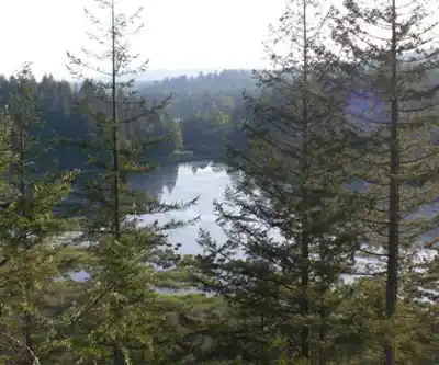 Sentier de randonnée Goose Lake - paysage naturel