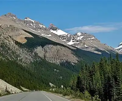 Sentier de randonnée Mount Noyes - paysage naturel