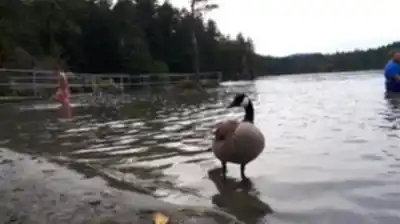 Découvrir Elk Lake en Île de Vancouver