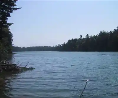 Sentier de randonnée Cobscook Bay State Park - paysage naturel