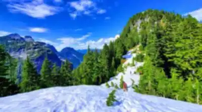 Goat Mountain hike - nature and outdoors