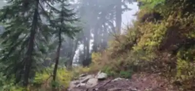 Explore Goat Mountain trail