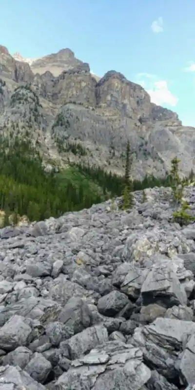 Randonnée Mount Hector - nature et plein air