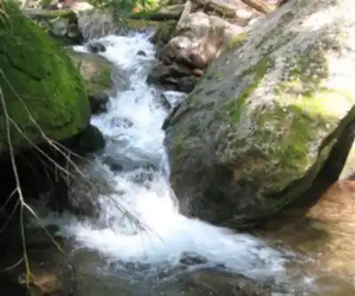 Hiking view of Appalachian Trail Fox Gap to Delaware Water Gap